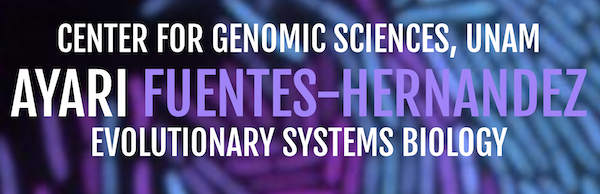 Ayari Fuentes-Hernandez